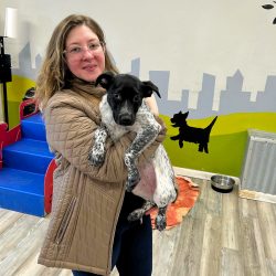 Happy Pups Adopted! Happy Pups Adopted!